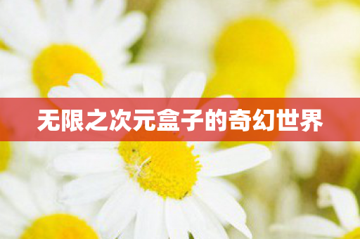 无限之次元盒子的奇幻世界图片