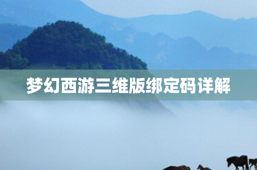 梦幻西游三维版绑定码详解图片