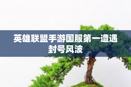 英雄联盟手游国服第一遭遇封号风波图片