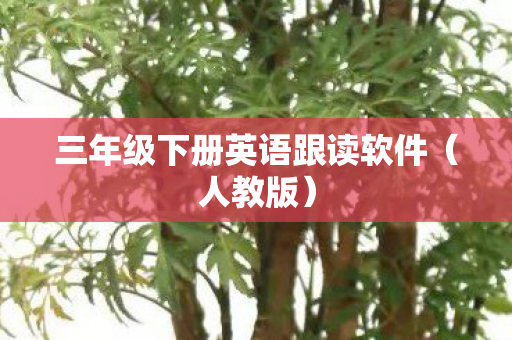 三年级下册英语跟读软件图片