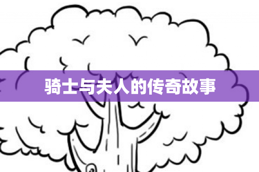 骑士与夫人的传奇故事图片