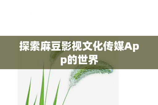 探索麻豆影视文化传媒App的世界图片