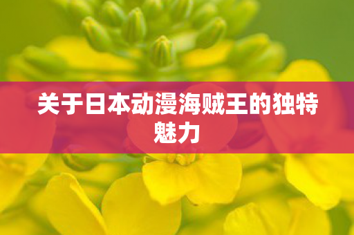 关于日本动漫海贼王的独特魅力图片