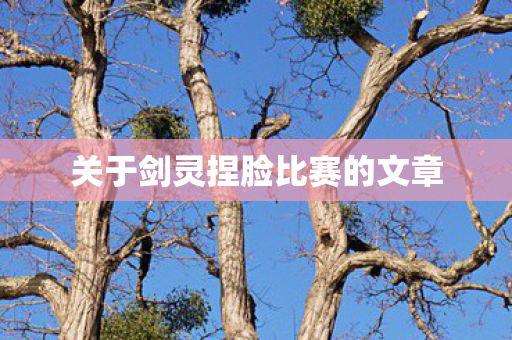 关于剑灵捏脸比赛的文章图片