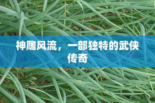 一部独特的武侠传奇图片