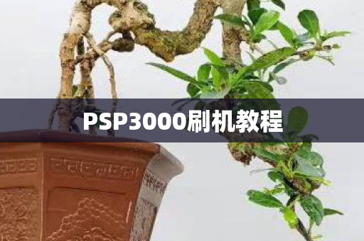 PSP3000刷机教程图片