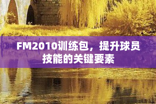 提升球员技能的关键要素图片