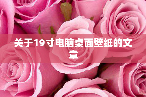 关于19寸电脑桌面壁纸的文章图片