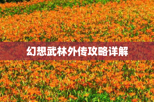 幻想武林外传攻略详解图片