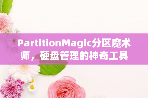 PartitionMagic分区魔术师图片