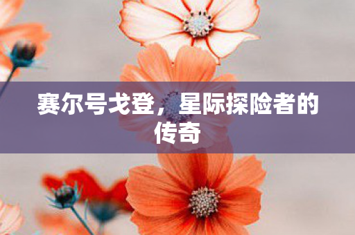 星际探险者的传奇图片