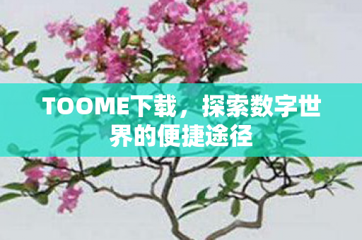 探索数字世界的便捷途径图片