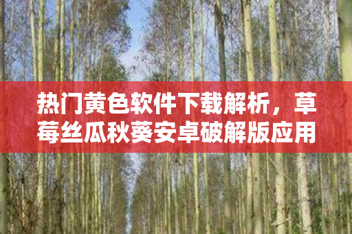 草莓丝瓜秋葵安卓破解版应用探索图片