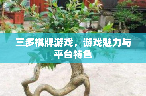 游戏魅力与平台特色图片