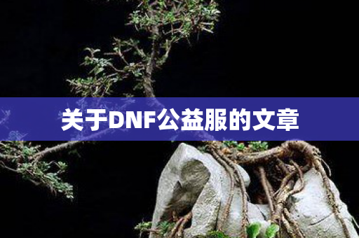 关于DNF公益服的文章图片