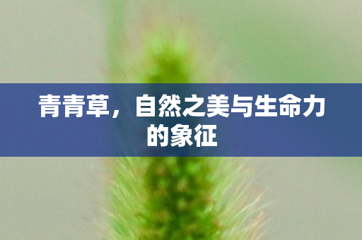 自然之美与生命力的象征图片