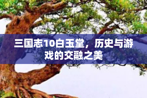 历史与游戏的交融之美图片