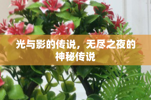 无尽之夜的神秘传说图片