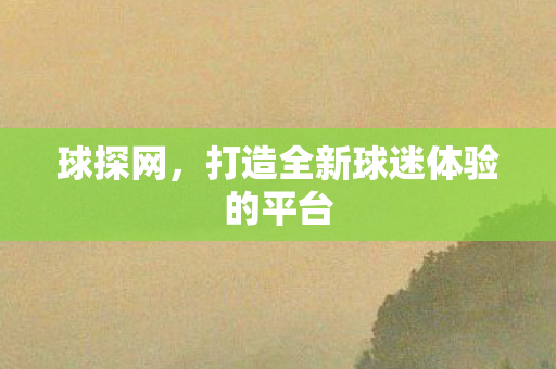 打造全新球迷体验的平台图片