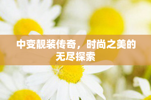 时尚之美的无尽探索图片