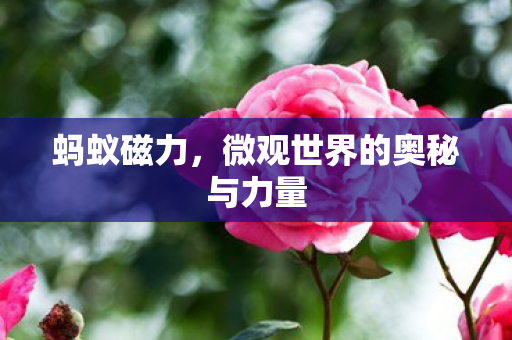 微观世界的奥秘与力量图片