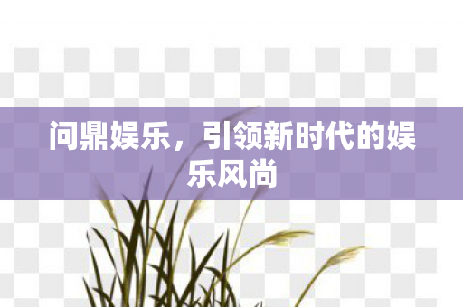 引领新时代的娱乐风尚图片