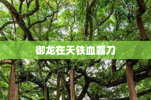 御龙在天铁血霸刀图片