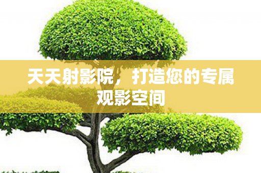 打造您的专属观影空间图片
