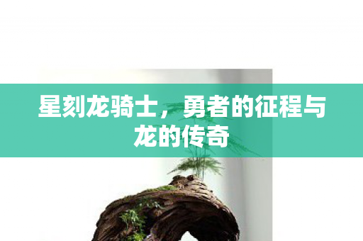 勇者的征程与龙的传奇图片