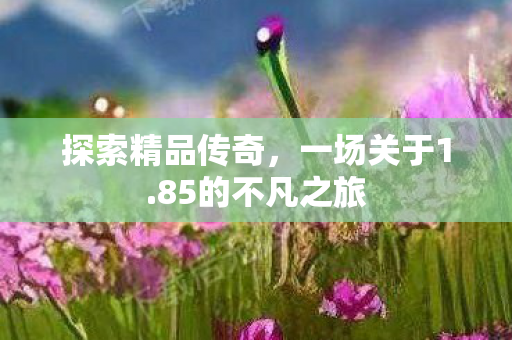85的不凡之旅图片