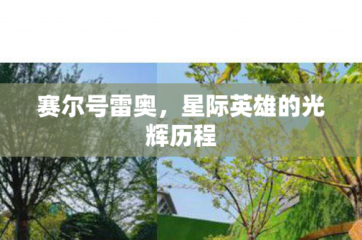 星际英雄的光辉历程图片
