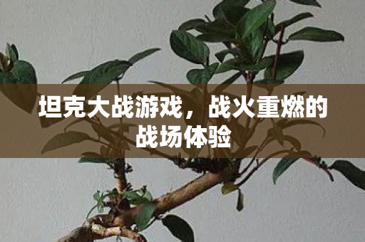 战火重燃的战场体验图片
