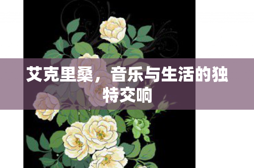 音乐与生活的独特交响图片