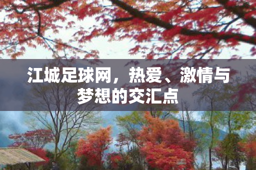 激情与梦想的交汇点图片