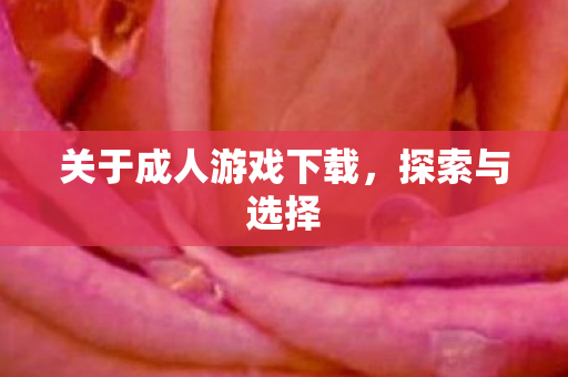 关于成人游戏下载图片