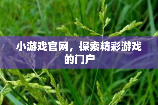 探索精彩游戏的门户图片