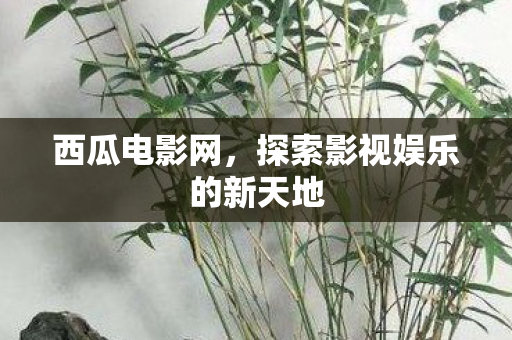 探索影视娱乐的新天地图片