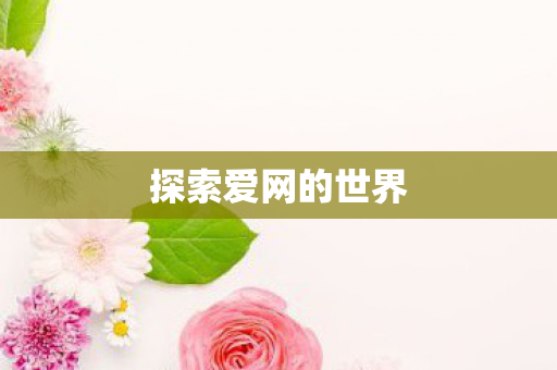 探索爱网的世界图片