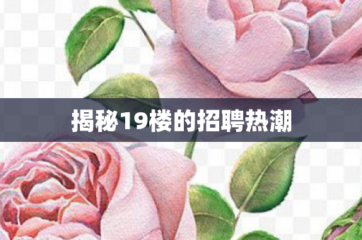揭秘19楼的招聘热潮图片
