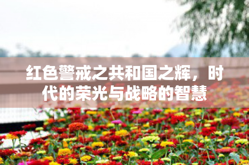时代的荣光与战略的智慧图片
