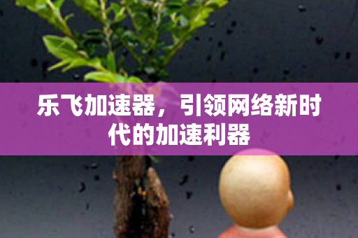 引领网络新时代的加速利器图片