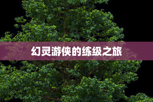 幻灵游侠的练级之旅图片