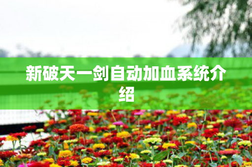 新破天一剑自动加血系统介绍图片