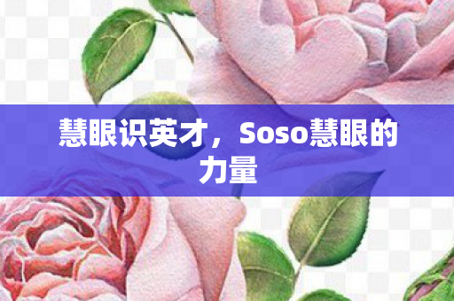 Soso慧眼的力量图片