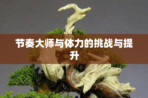 节奏大师与体力的挑战与提升图片