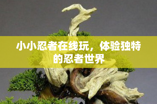 体验独特的忍者世界图片