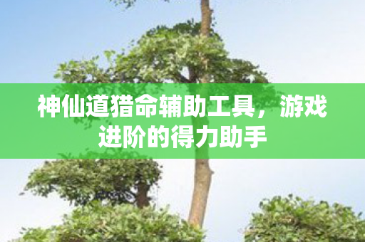 神仙道猎命辅助工具图片