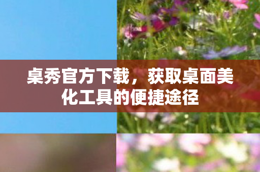 获取桌面美化工具的便捷途径图片