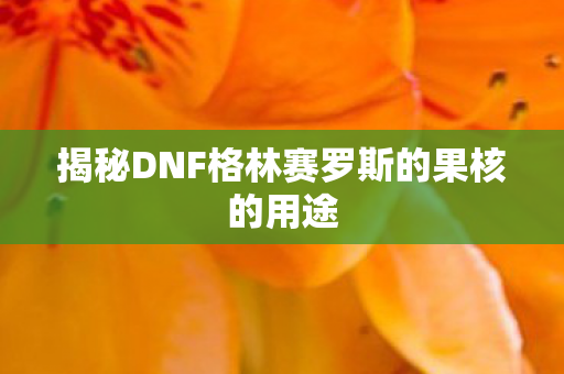 揭秘DNF格林赛罗斯的果核的用途图片