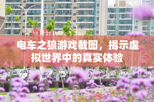 揭示虚拟世界中的真实体验图片